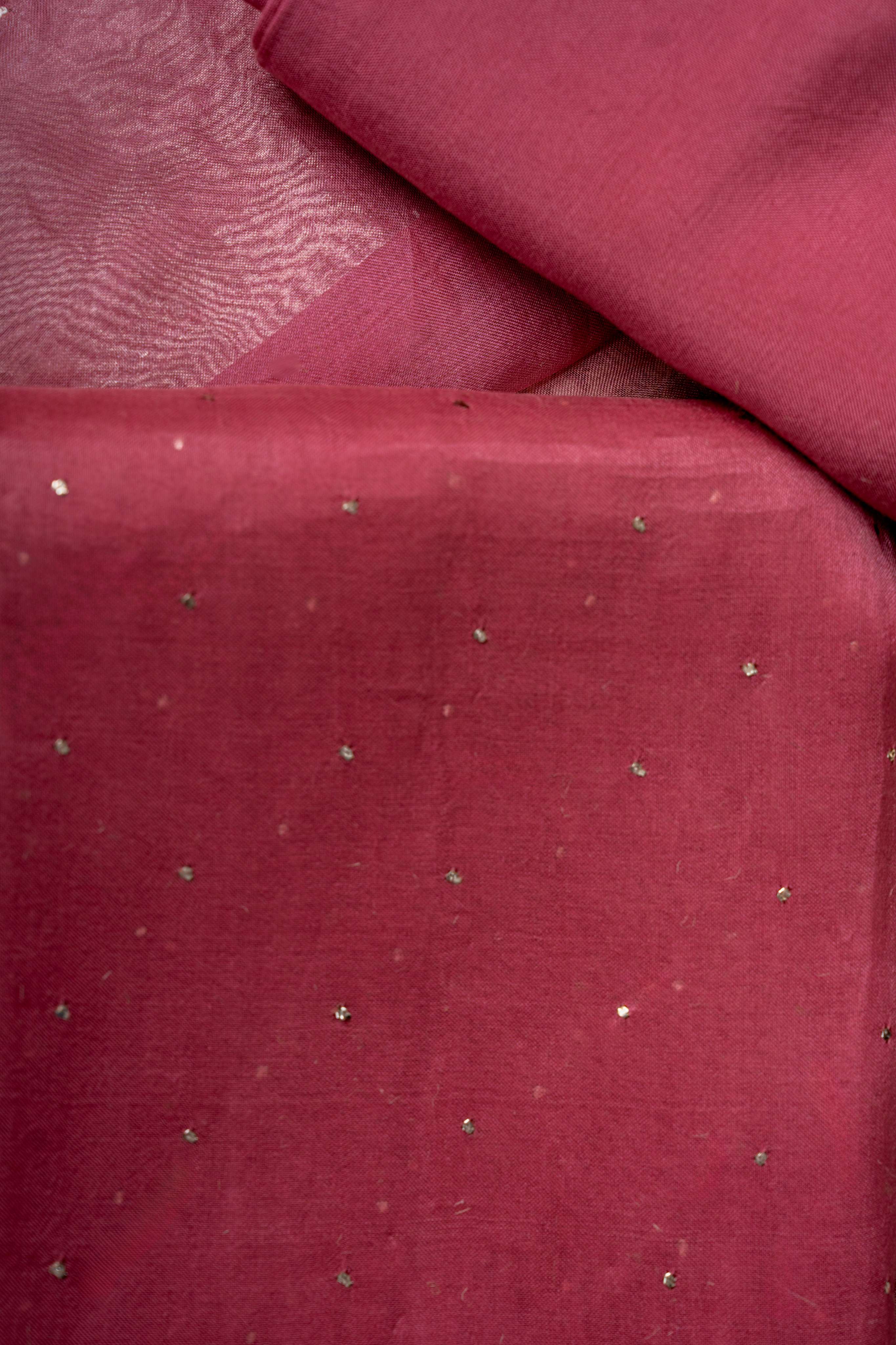 Aari Work on Crrot Pink Pure organza Kurta ans Tissue Stripe Dupatta with Matching Bottom